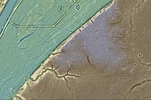 LiDAR image of the Russy forest near Blois (Loir-et-Cher, France)