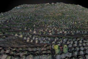 Xenovos Terrace Wall and Aghia Eirini Potters Quarter (Desfina, Greece)