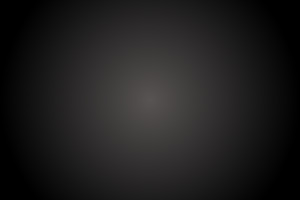 Ardipithecus ramidus