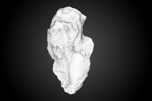 Chiquihuite Cave artifact nr. 1118