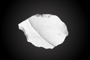 Chiquihuite Cave artifact nr. 424