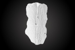 Chiquihuite Cave artifact nr. 457