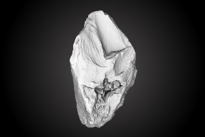 Chiquihuite Cave artifact nr. 72