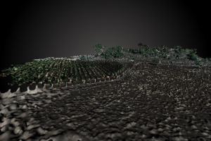 Meteles Hydrological Drain Feature (Desfina, Greece)