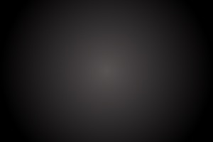 X20 Level 33 Sima de las Golondrinas bighorn sheep thoracic vertebra 