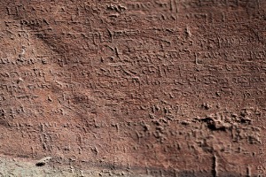 Assisi Parete Destra Campata 2 Lunetta 8