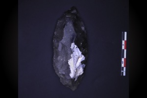 grotte XVI, couche B, limace mousterienne 