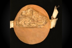 Lincoln Charter Edward III 1361 Front