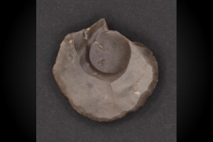 Tornagrain Thumb Scraper